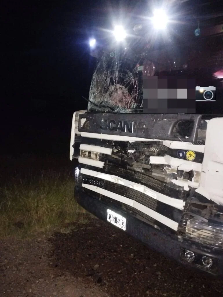 Ruta 38 permanecerá cerrada tras colisión entre camión y equino esta madrugada