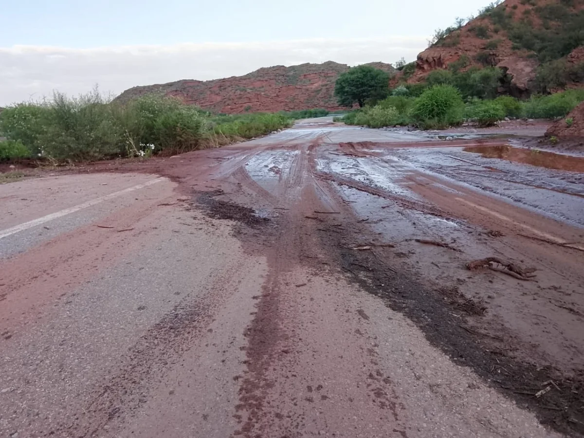 Ruta Nacional 40 cerrada: complicaciones para el tránsito entre Villa Unión y la Cuesta de Miranda