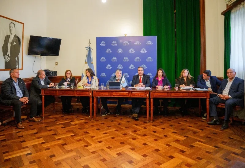 Senadores proponen ley para aliviar el costo de la electricidad en el Norte Grande