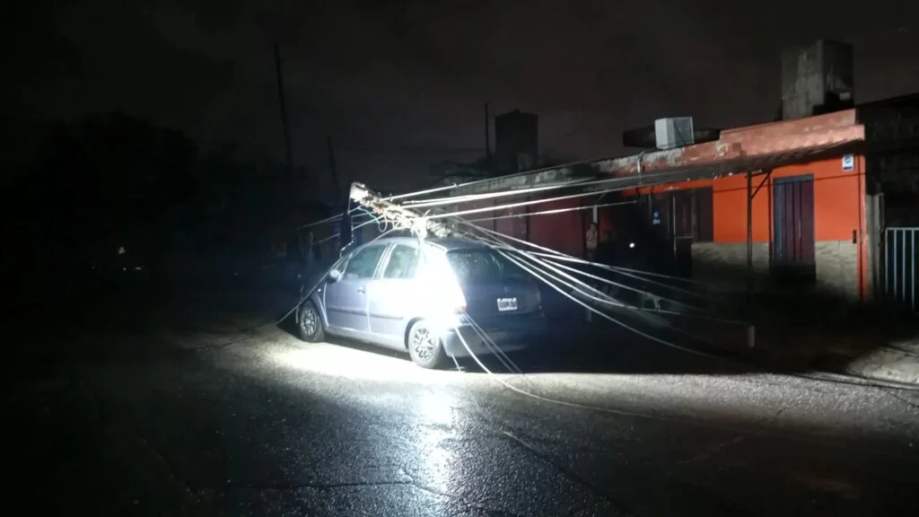 Tormenta severa en La Rioja: Uber ayuda a evitar tragedia tras caída de árboles y postes
