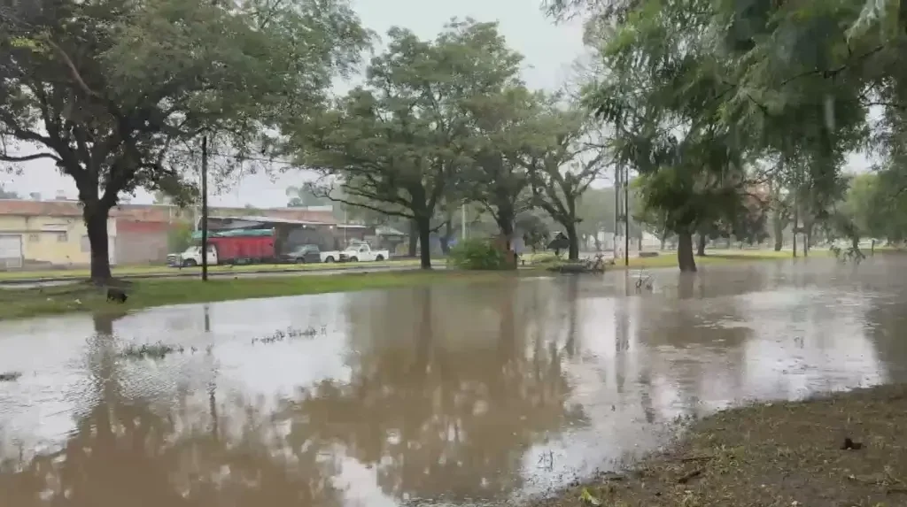 Tragedia en Tucumán: un niño de 12 años pierde la vida por electrocución en la tormenta