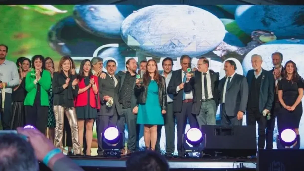 Vinos de La Rioja brillan en premiaciones nacionales: un orgullo para la región